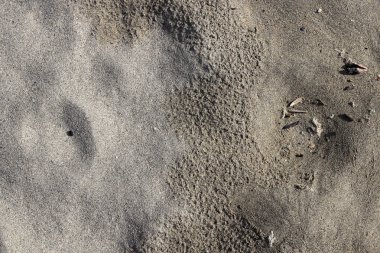 Kuru kum geçiş doku ıslak. Yaz plaj arka plan.