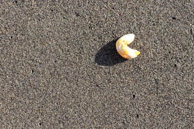 Deniz madde kum doku üzerinde. Yaz plaj arka plan.