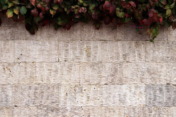 Aserrado Largo Pared Patrón Baldosas Con Entrega Flores Textura Piedras —  Fotos de Stock