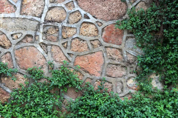 Kayalık Cobblestones Yeşil Bitkiler Ile Doku Duvar Taş Arka Plan — Stok fotoğraf