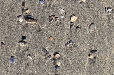 Islak kum üzerinde lekeleri farklı taşlarla. Nadir çakıl arka plan. Plaj güzellik zemin.