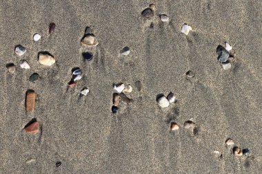 Nadir çakıl arka plan. Islak kum üzerinde lekeleri farklı taşlarla. Plaj güzellik zemin.