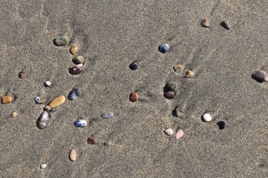 Islak kum üzerinde lekeleri farklı taşlarla. Nadir çakıl arka plan. Plaj güzellik zemin.