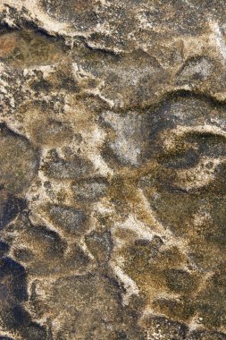 Deniz kaya cliff doku. Kaba deniz arka plan.