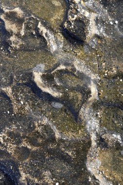 Deniz kaya cliff yüzey doku. Kaba deniz mineral arka plan.