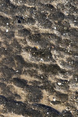 Deniz kaya cliff yüzey doku. Kaba deniz mineral arka plan.