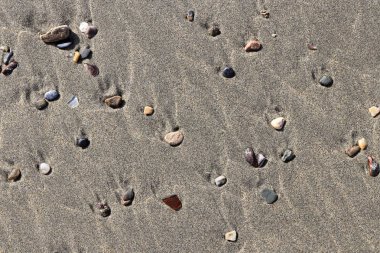 Plaj güzellik zemin. Islak kum üzerinde lekeleri farklı taşlarla. Nadir çakıl arka plan.