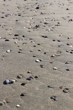 Islak kum üzerinde lekeleri farklı taşlarla. Nadir çakıl arka plan. Plaj güzellik zemin.