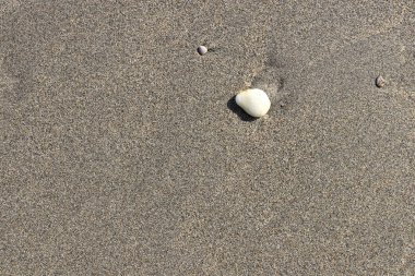 Açık plaj kum yüzeyi beyaz taşlı.