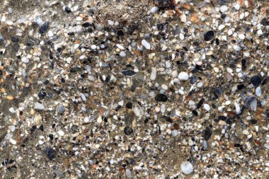 Deniz Beton yüzey dokusunu yıpranmış. Deniz deniz arka plan.