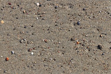 Nadir çakıl arka plan. Islak kum üzerinde lekeleri farklı taşlarla. Plaj güzellik zemin.