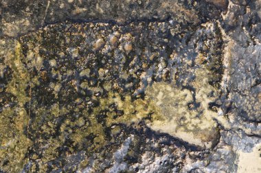 Islak deniz Beton yüzey dokusunu yıpranmış. Kaba deniz deniz arka plan.