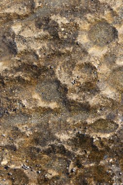 Deniz kayalık uçurum doku ıslak. Kaba deniz arka plan.