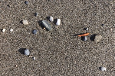 Nadir çakıl plaj kuru yaprak. Deniz yaz arka plan.