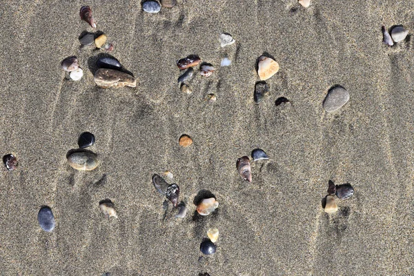 Islak kum üzerinde lekeleri farklı taşlarla. Nadir çakıl arka plan. Plaj güzellik zemin.