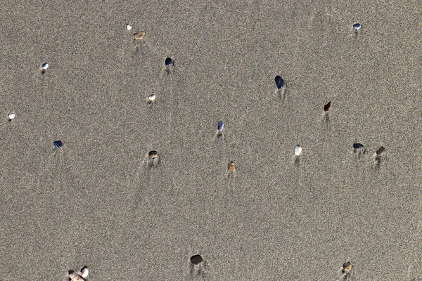 Différentes Pierres Avec Des Taches Sur Sable Humide Fond Galets — Photo