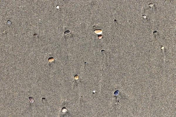 Различные Камни Пятнами Мокром Песке Редкий Галечный Фон Пляжная Красота — стоковое фото