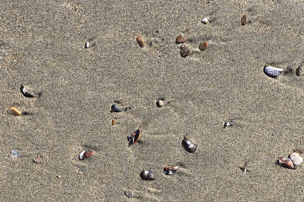 조약돌 배경입니다 모래에 얼룩과 — 스톡 사진