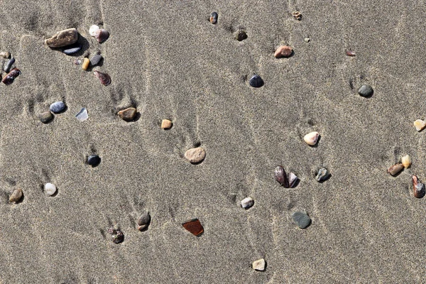 Plaj güzellik zemin. Islak kum üzerinde lekeleri farklı taşlarla. Nadir çakıl arka plan.