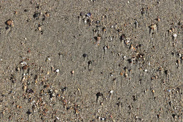 Пляжная Красота Различные Камни Пятнами Мокром Песке Редкий Галечный Фон — стоковое фото