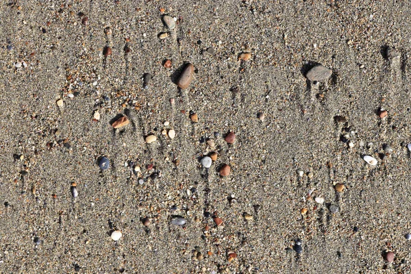 Different Stones Stains Wet Sand Rare Pebble Background Beach Beauty — Stock Photo, Image