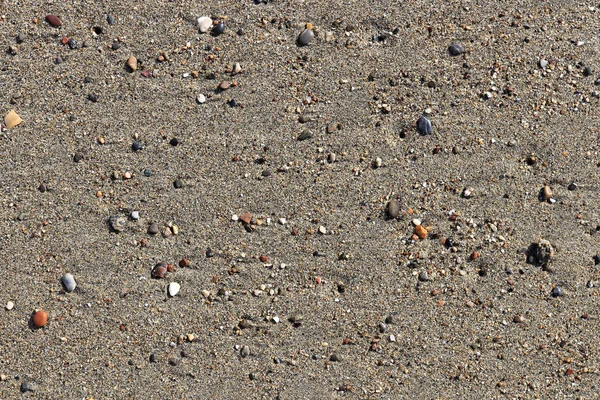 Nadir çakıl arka plan. Islak kum üzerinde lekeleri farklı taşlarla. Plaj güzellik zemin.