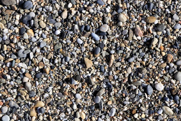 Багато Дрібних Каменів Пляжі Невеликою Текстурою Гальки Морський Фон — стокове фото