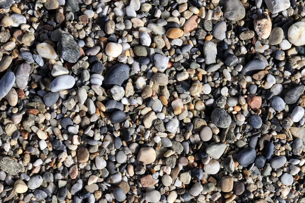 Muitas Pedras Pequenas Praia Com Pouca Textura Seixos Fundo Marinho — Fotografia de Stock