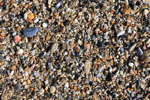 Verschiedene Kieselsteine Strand Nautischer Hintergrund — Stockfoto