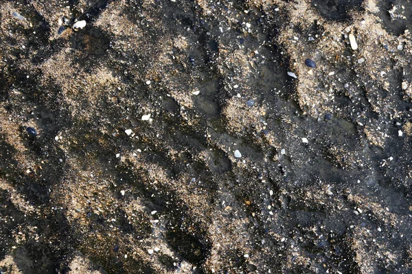 Wet Sea Rocky Cliff Texture Rough Marine Background — Stock Photo, Image