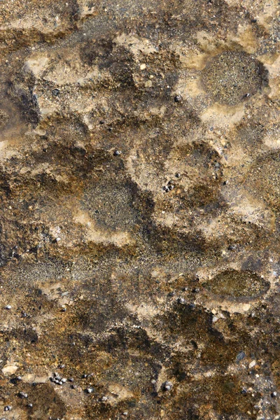 Deniz kayalık uçurum doku ıslak. Kaba deniz arka plan.