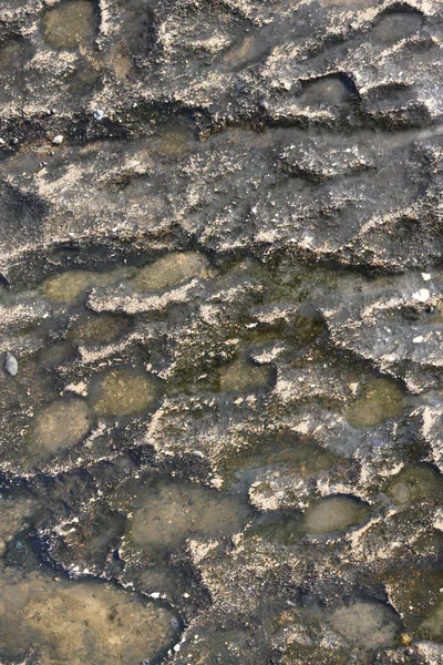 Kaba deniz deniz arka plan. Islak deniz kayalık uçurum doku.