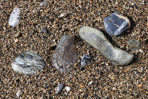 Kumsalda ıslak cobblestones.