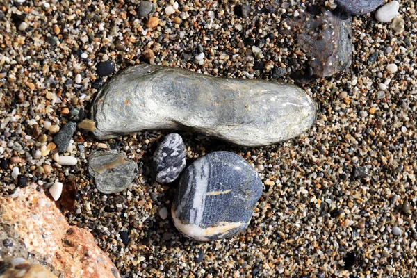 Islak cobblestones sahilde. Makro bakış.