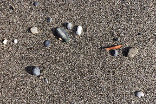 Nadir çakıl plaj kuru yaprak. Deniz yaz arka plan.