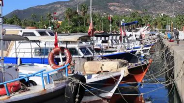 Sürü demirli tekne ile Pier.