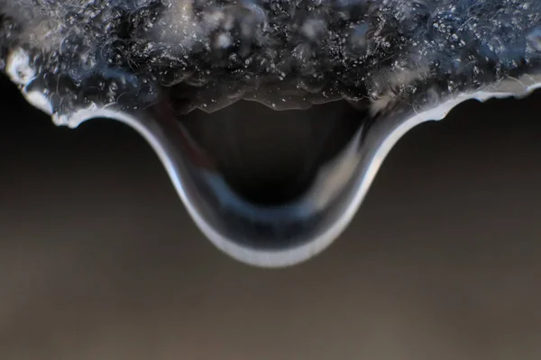 内氷反射 明確な冷たい雨ドロップ 氷の上から水滴を伝承します クローズ アップ マクロ — ストック写真