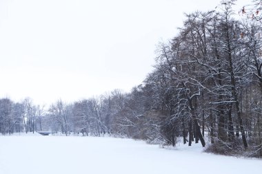 Ağaçların altında kar sakin manzara ile kış göl.