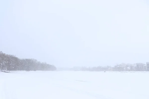 Paisagem Neve Com Floresta Horizonte Visibilidade Tempo Nevado — Fotografia de Stock