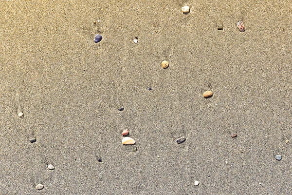 Různé kameny s skvrnami na mokrém písku. Řídký oblázková působivý — Stock fotografie