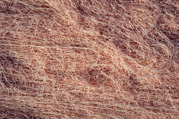 Naylon File doku. Deniz Yat Limanı arka plan.