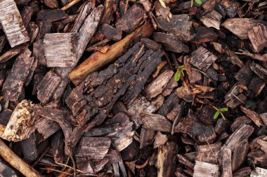 Küçük ahşap parçalar yüzey. Aşınmış talaş dokusu. Vahşi ahşap arka plan.