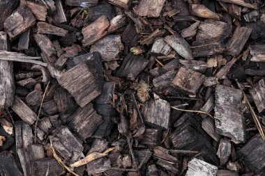 Küçük ahşap parçalar yüzey. Aşınmış talaş dokusu. Vahşi ahşap arka plan.