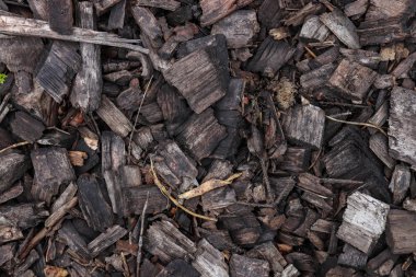 Küçük ahşap parçalar yüzey. Aşınmış talaş dokusu. Vahşi ahşap arka plan.