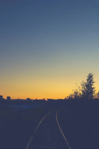 Skyline floral wildflowers silhouette background. Horizon clear sky gradient landscape.