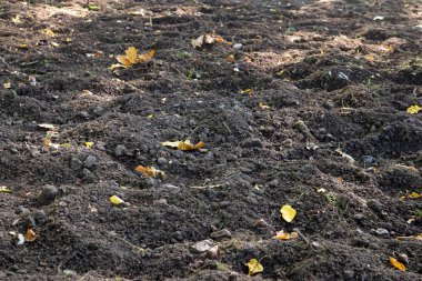 Zemin dokusu. Kahverengi toprak tarım arka plan. Toprak dokular kaba tarım zemin.