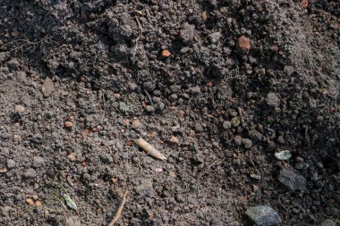 Kahverengi toprak tarım arka plan. Toprak dokular kaba tarım zemin. Zemin dokusu.