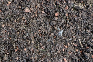 Zemin dokusu. Kahverengi toprak tarım arka plan. Toprak dokular kaba tarım zemin.