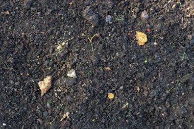 Kahverengi toprak tarım arka plan. Toprak dokular kaba tarım zemin. Zemin dokusu.