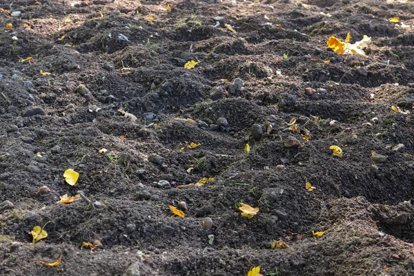 Tekstury ziemi szorstki tle rolnictwa. Tekstura podłoża. Brązowy gleba rolnictwo tło. — Zdjęcie stockowe